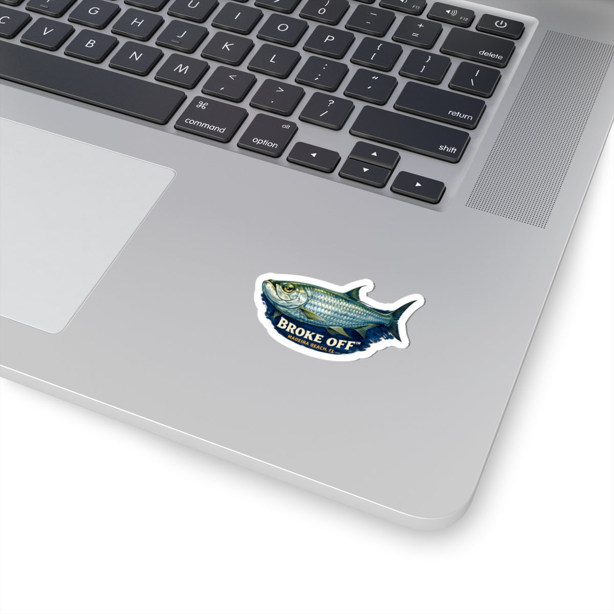 Broke Off Co. Tarpon Sticker | Coastal Fishing Decal | Madeira Beach FL - view 11